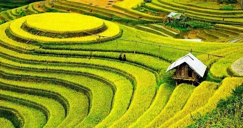 Tiền đạo Brazil lập công, áp sát vị trí số 1 của Tiến Linh_Tìm người xây dựng video tự do